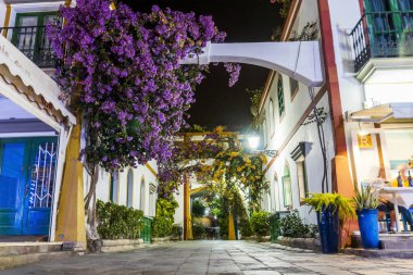 Puerto de Mogan, Gran Canaria, İspanya 'nın dar sokaklarında açan büyüleyici çiçekler.