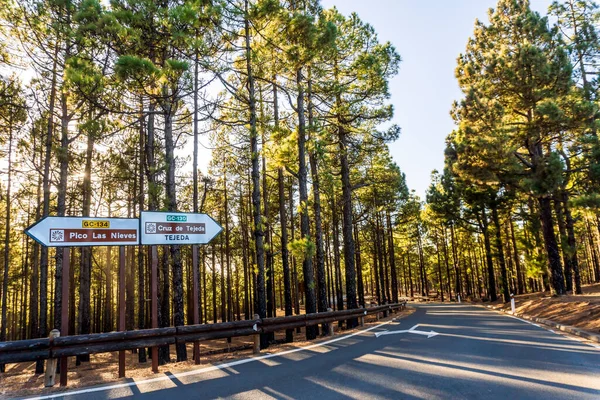 Route Traversant Dans Forêt Avec Des Panneaux Indiquant Direction Pour — Photo