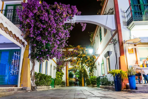 Очаровательные Цветущие Цветы Узких Улочках Пуэрто Моган Гран Канария Испания — стоковое фото