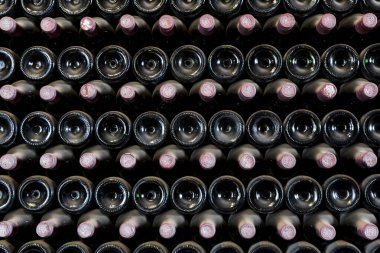Many bottles in a row stacked on a winery shelf, Lanzarote, Spain