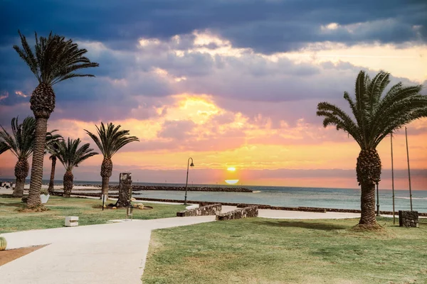 Sunset Coast Palm Trees Los Charcos Beach Costa Teguise Lanzarote — Foto Stock