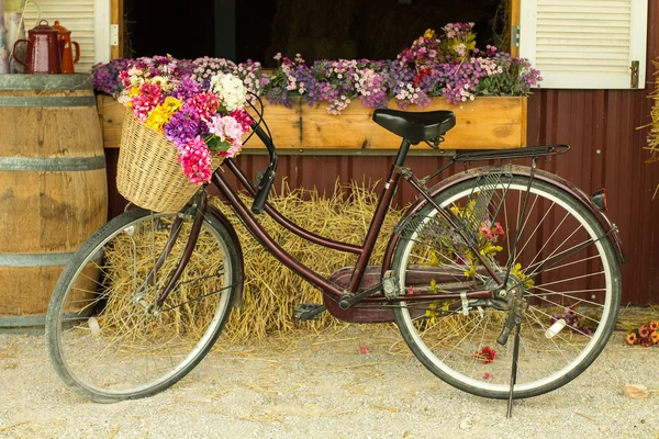 Bicykl — Stock fotografie