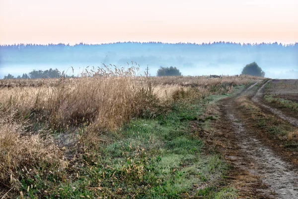 乌克兰基辅附近收获后的田地 一大早 田野上有雾 日出时色彩艳丽的乡村风景 — 图库照片
