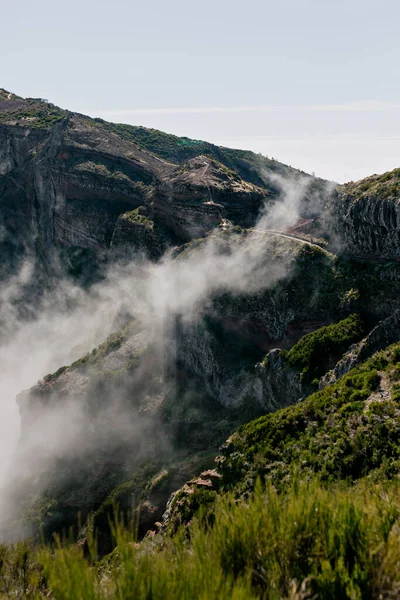 Άγριο Πράσινο Ανεβαίνει Κάτω Από Χαμηλά Σύννεφα Ενάντια Στον Καταγάλανο — Φωτογραφία Αρχείου