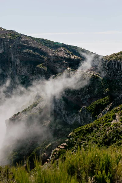 Vert Sauvage Grimpe Sous Les Nuages Bas Contre Ciel Bleu — Photo