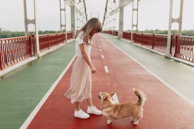 Güneşli bir yaz sabahında, etek giyen ve beyaz tişörtlü genç bir kızın tam uzunluktaki fotoğrafı köpekle briç oynuyor. Yüksek kalite fotoğraf