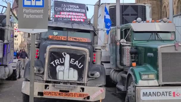 Freedom convoy 2022 in downtown Ottawa, Convoy of freedom. Canadian convoy protest against COVID-19 vaccine. No vaccine mandates Ottawa Ontario, Canada - February 1, 2022 — Stock Video