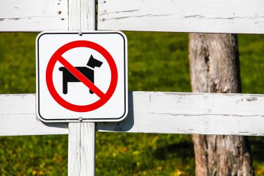 Dogs are not allowed on farm white wooden fence. A round red sign prohibiting dog walking on green grass. Walking with animals is prohibited
