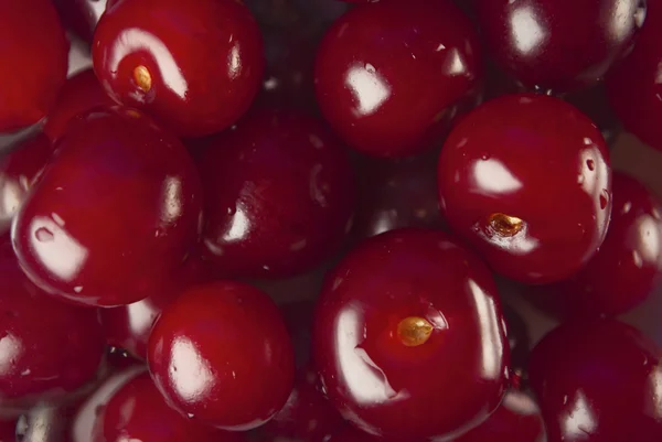 Cereza fresca. Antecedentes Grupo de cerezas formando una textura — Foto de Stock