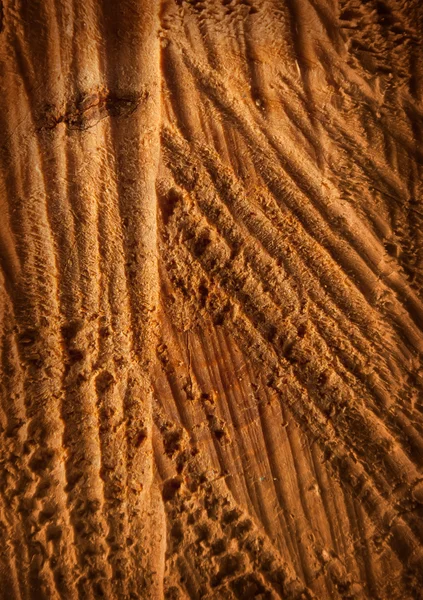 Wood texture with cracks and irregularities — Stock Photo, Image