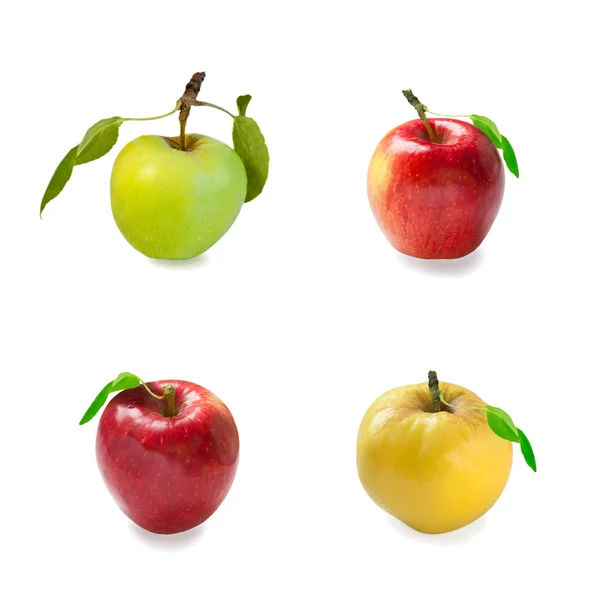 Collage of ripe apples with leaves on white — Stock Photo, Image