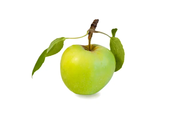 Fresh green apple with leaves on a white background — Stock Photo, Image