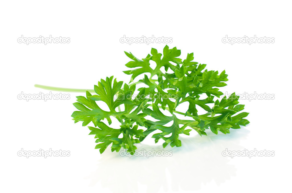 Parsley leaves isolated on white — Stock Photo © Annaev 28637935