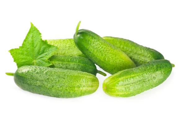 Fresh cucumbers with leaf — Stock Photo, Image