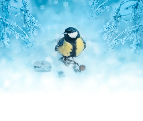 Schneebedeckte Äste und kleiner Vogel — Stockfoto