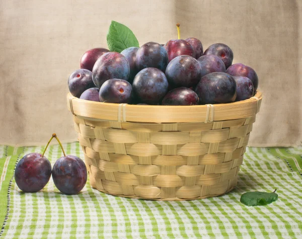 Plums in basket — Stock Photo, Image