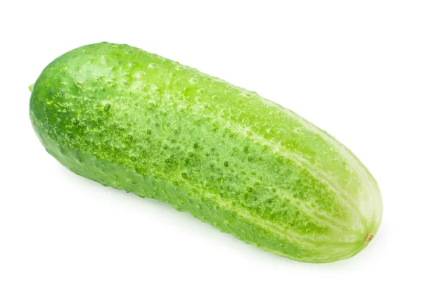 Closeup de pepino — Fotografia de Stock