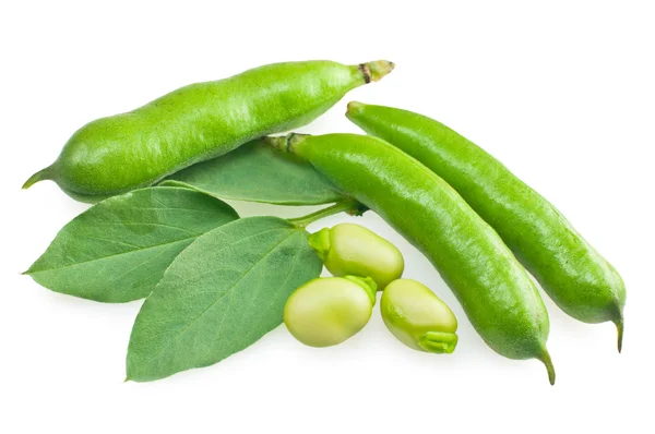 Fresh beans with leaves — Stock Photo, Image