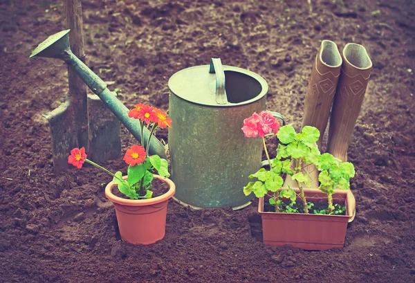 Herramientas de jardinería —  Fotos de Stock