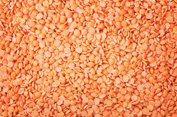 Red lentils — Stock Photo, Image