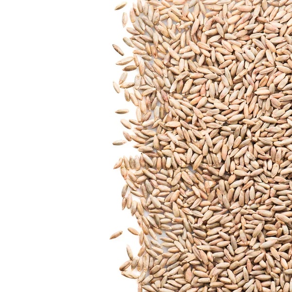 호 밀 곡물 — 스톡 사진