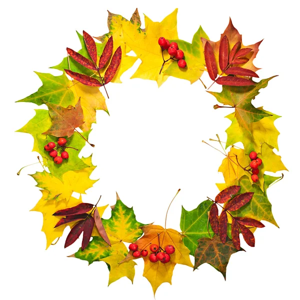 Wreath of autumn leaves isolated on white — Stock Photo, Image