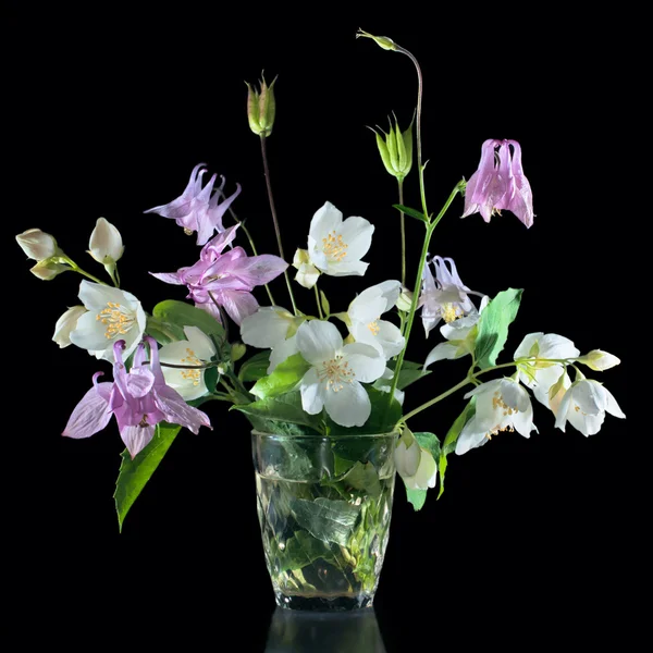 Yasemin çiçekleri ve siyah izole aquilegia oluşan — Stok fotoğraf