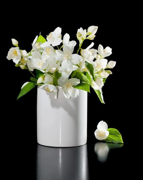 Um bando de flores de jasmim num preto — Fotografia de Stock