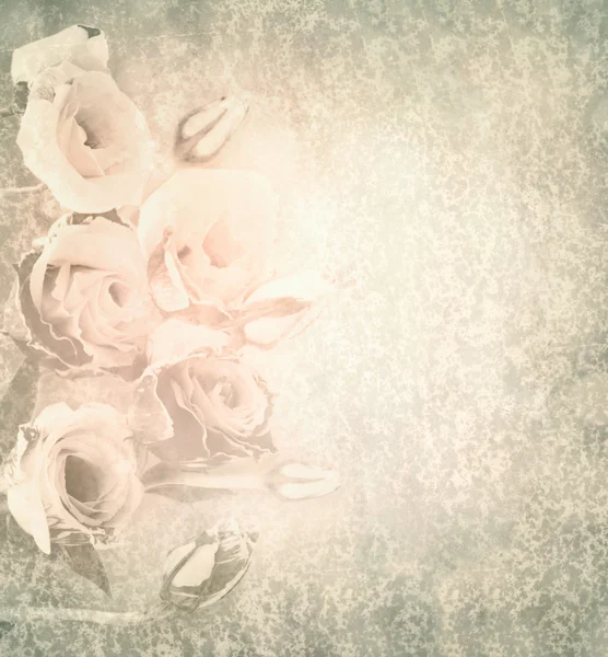 Květiny na starý papír. — Stock fotografie