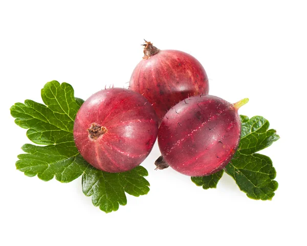 Gooseberries and leaves isolated on white close-up. — Stock Photo, Image