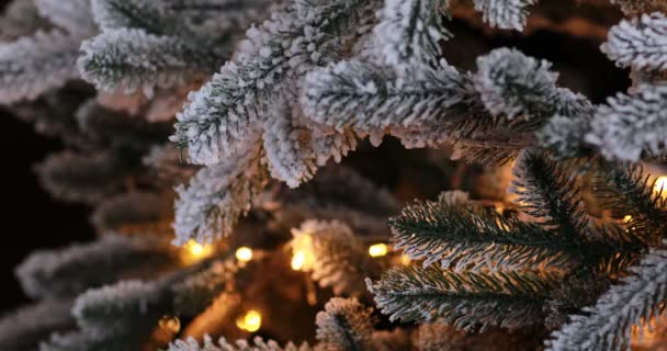Scène de Noël composée de sapin du Nouvel An et de décorations. Guirlande de Noël scintille lueur sur un sapin vert sapin artificiel neigeux à l'intérieur. Céréales. — Video