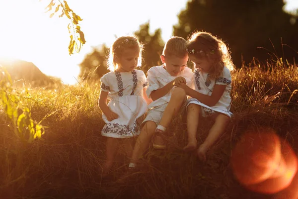 Діти Хлопчик Дівчатка Граються Жартують Розважаються Заході Сонця Парку Зеленій — стокове фото