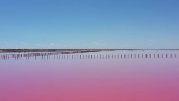 飞越一个粉红色的盐湖 盐湖盐分生产厂盐分蒸发池田 盐藻在有干结晶盐碱海岸的矿湖中传播红粉水 — 图库视频影像