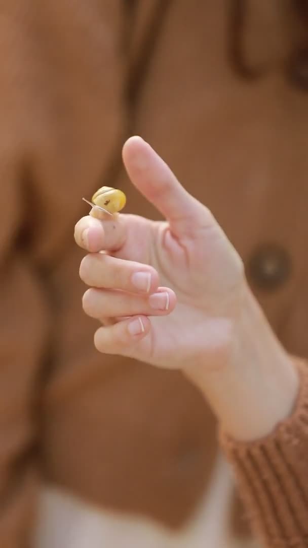 Primer Plano Mujer Sosteniendo Caracol Caracol Sentado Mano Palma Lentamente — Vídeo de stock