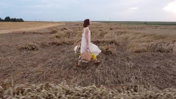 Elbise Giymiş Güzel Bir Kadın Buğday Tarlasında Koşuyor Yaz Tatili — Stok video