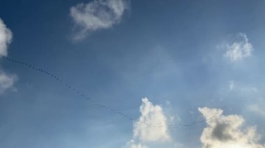 Bulutlarda uçan kuş sürüsü. Kara Kargalar gökyüzüne doğru dönen bir grup. Sıcak ülkelerden gelen kuşların göç hareketleri. 4k