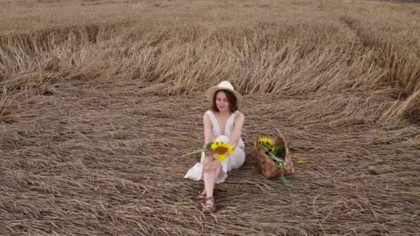 Beautiful Smiling Young Woman Dress Sitting Wheat Field Summer Holiday — Video Stock