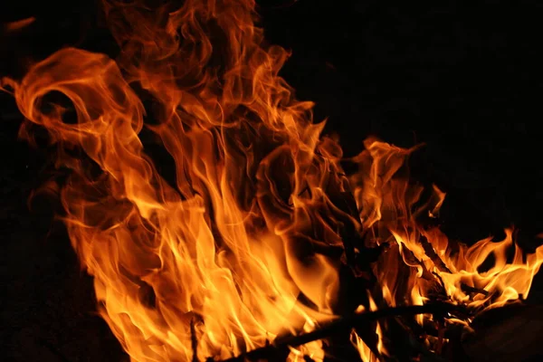 Vuur Vlammen Zwarte Achtergrond Het Vuur Het Natuurlijke Bos Vlammen — Stockfoto