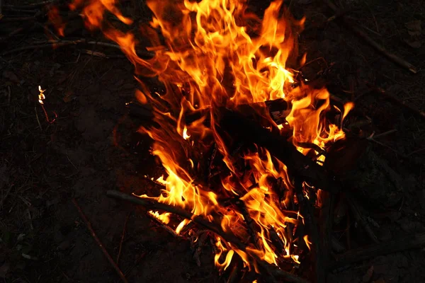 Oheň Černém Pozadí Oheň Přírodním Lese Plameny Jiskry Tmavém Pozadí — Stock fotografie
