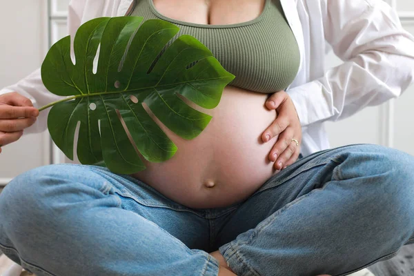 エコ妊娠 大きな腹を持つ妊婦進行中の妊娠は手に緑の熱帯ヤシのモンステラの葉を保持 — ストック写真