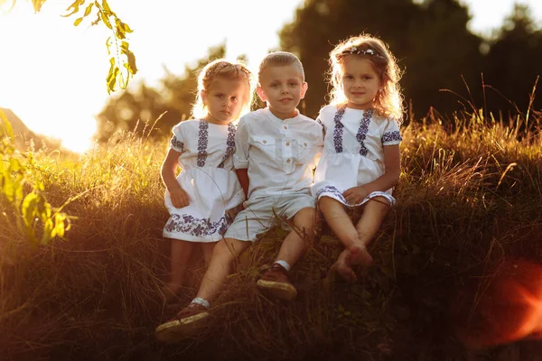 Niños Niños Niñas Están Jugando Bromeando Divirtiéndose Atardecer Parque Hierba — Foto de Stock