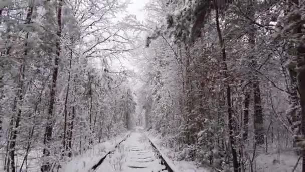 4kだ。鉄道道路と愛の冬の自然トンネルの空中ビュー。ウクライナのクレヴァン。雪に覆われたスプルースと松の木で絵のように凍った森。冬の森だ。木の間を飛ぶドローン. — ストック動画