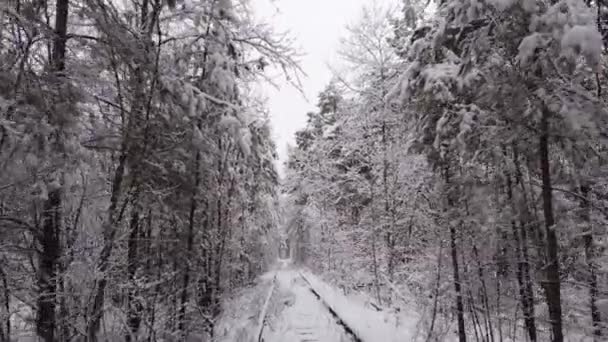 4kだ。鉄道道路と愛の冬の自然トンネルの空中ビュー。ウクライナのクレヴァン。雪に覆われたスプルースと松の木で絵のように凍った森。冬の森だ。木の間を飛ぶドローン. — ストック動画