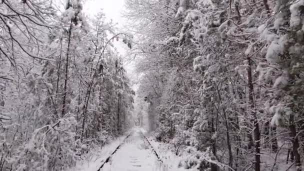 4Kだ 鉄道道路と愛の冬の自然トンネルの空中ビュー ウクライナのクレヴァン 雪に覆われたスプルースと松の木で絵のように凍った森 冬の森だ 木の間を飛ぶドローン — ストック動画