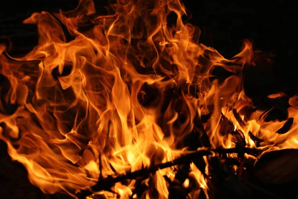 Vuur Vlammen Zwarte Achtergrond Het Vuur Het Natuurlijke Bos Vlammen — Stockfoto