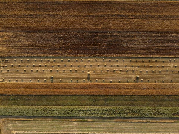 Luftaufnahme Und Ansicht Von Weizenfeldern Schöne Natur Hintergrund — Stockfoto