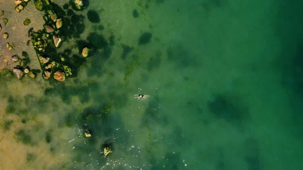 在空中看到一个女孩与藻类绿水一起在岩石海滩上游泳 夏天的海岸 顶部视图 清澈的蓝水 石头和岩石构成的景观 自然背景 — 图库照片