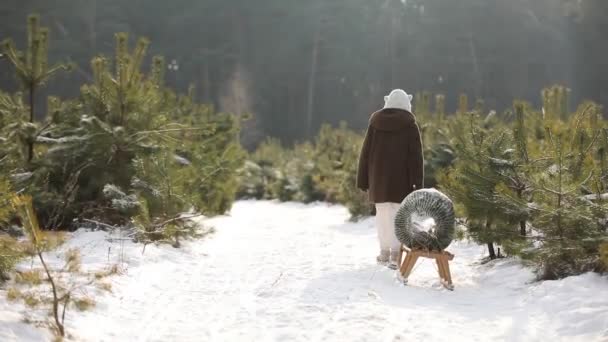 Menina Criança Feliz Caminha Através Uma Floresta Coberta Neve Uma — Vídeo de Stock