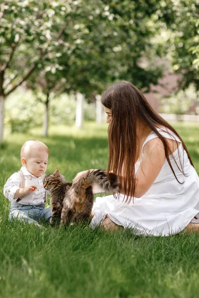 Красива Мати Син Грають Смугастою Кішкою Сонячному Літньому Парку Матері — стокове фото
