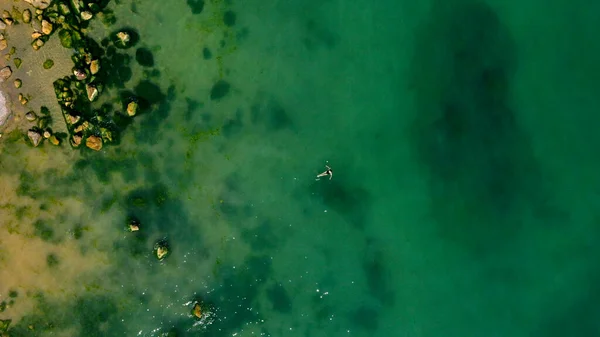 在空中看到一个女孩与藻类绿水一起在岩石海滩上游泳 夏天的海岸 顶部视图 清澈的蓝水 石头和岩石构成的景观 自然背景 — 图库照片